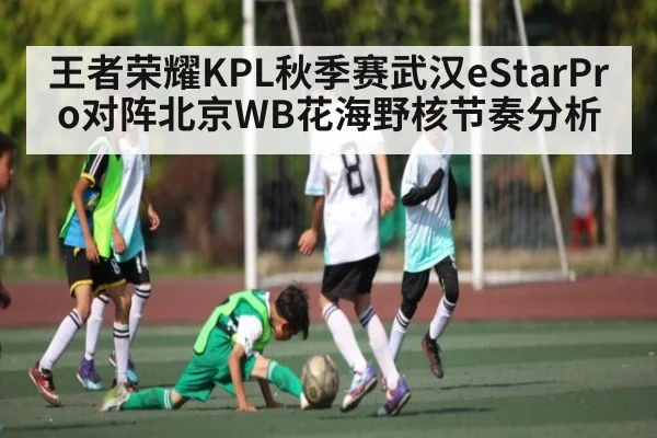 王者荣耀KPL秋季赛武汉eStarPro对阵北京WB花海野核节奏分析 | kaiyun