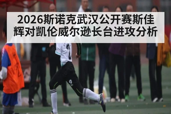 2026斯诺克武汉公开赛斯佳辉对凯伦威尔逊长台进攻分析 | kaiyun